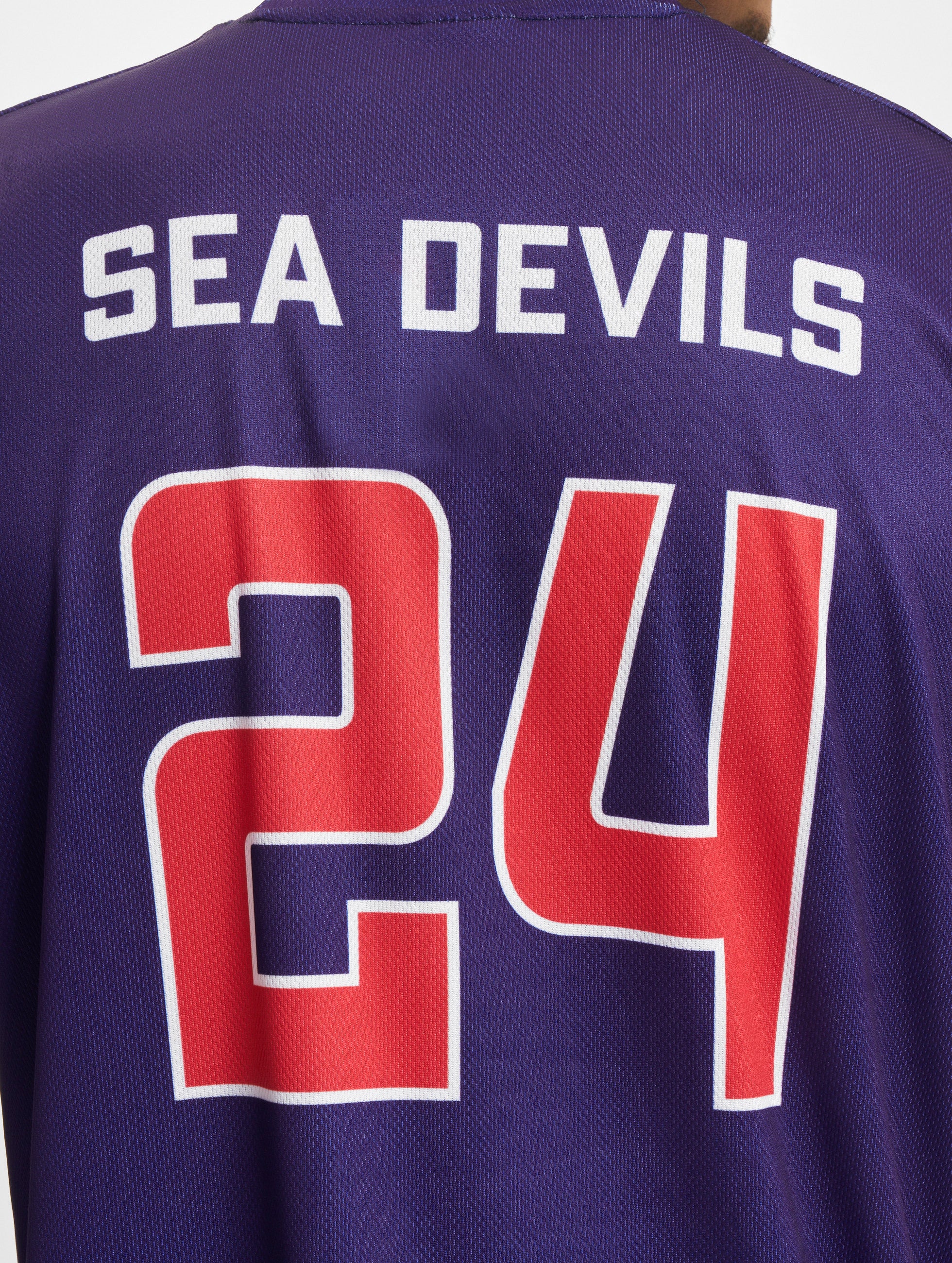 Hamburg Sea Devils Fan Jersey