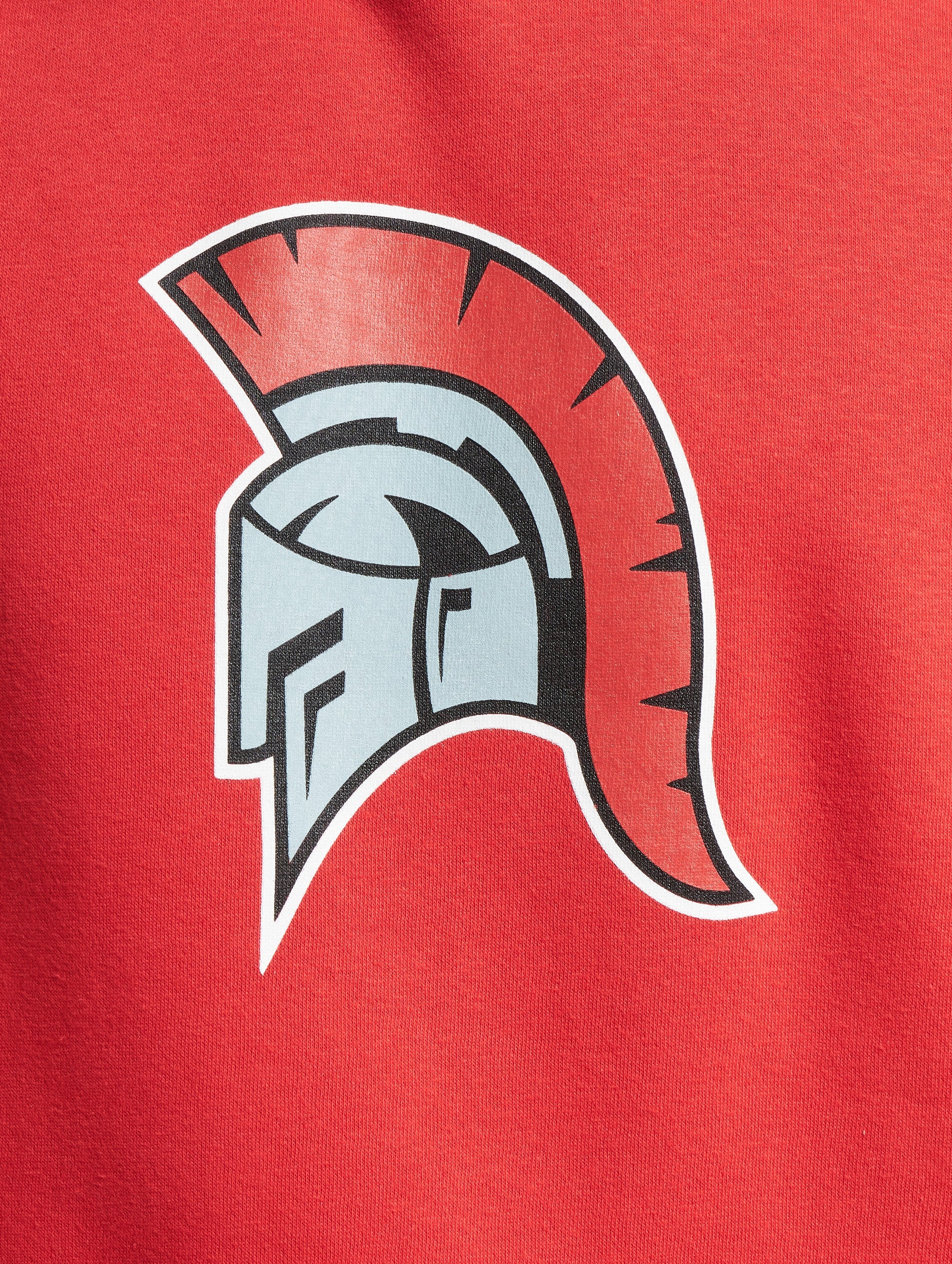 Cologne Centurions Icon Hoodie