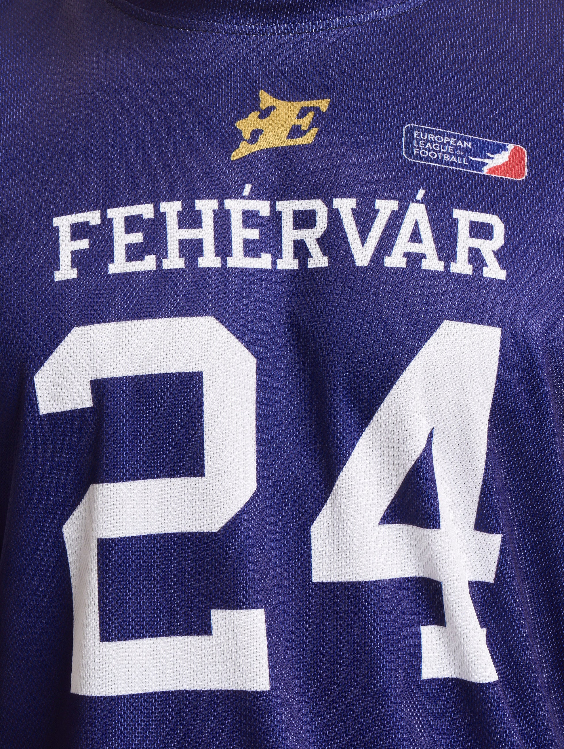 Fehervar Enthroners Fan Jersey