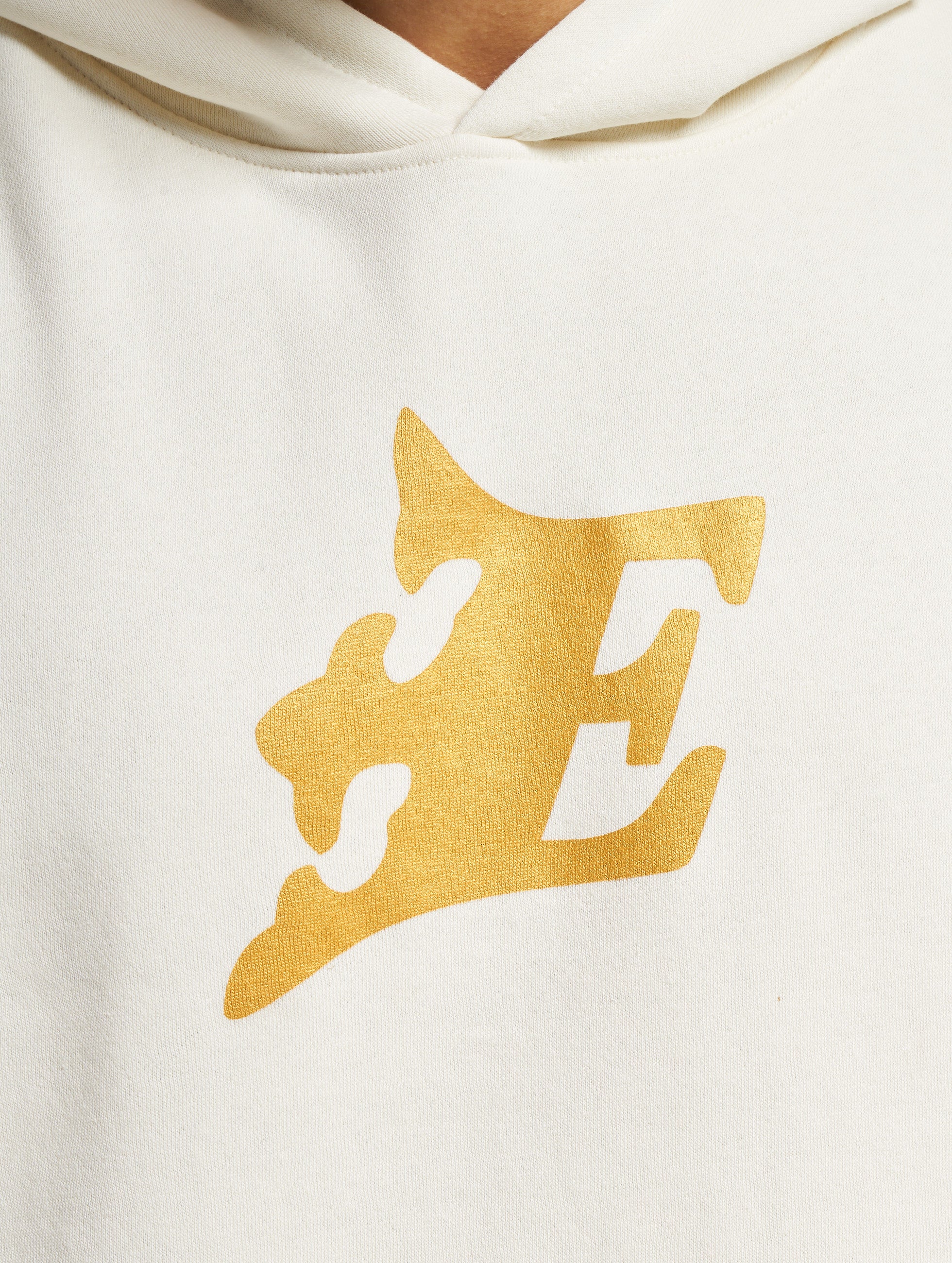 Fehervar Enthroners Icon Hoodie