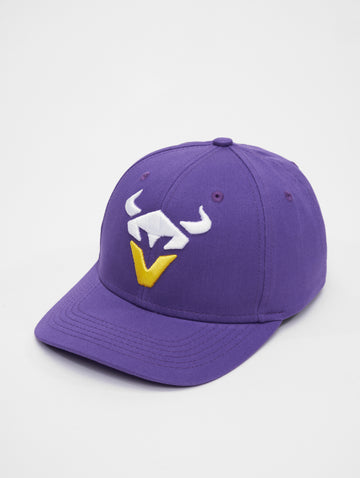 Vienna Vikings Baseball Cap 2024 Design 1