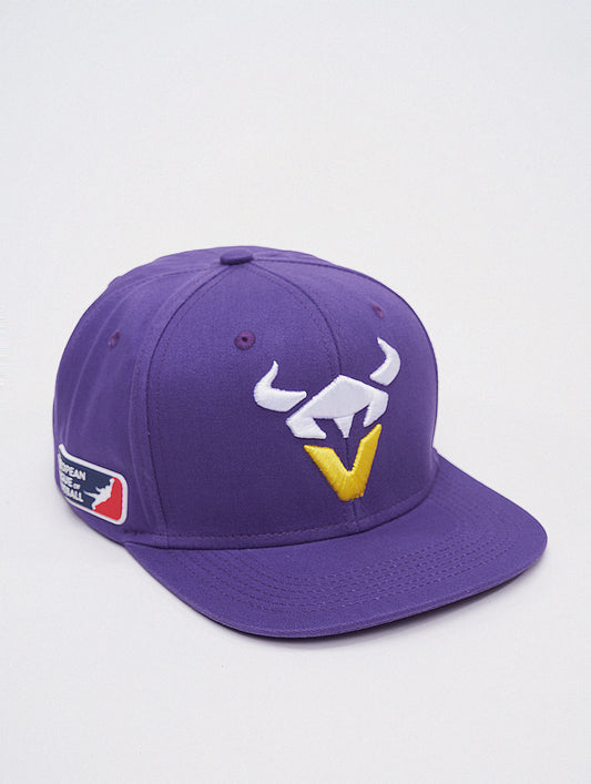 Vienna Vikings Snapback Cap 2024 Design 1