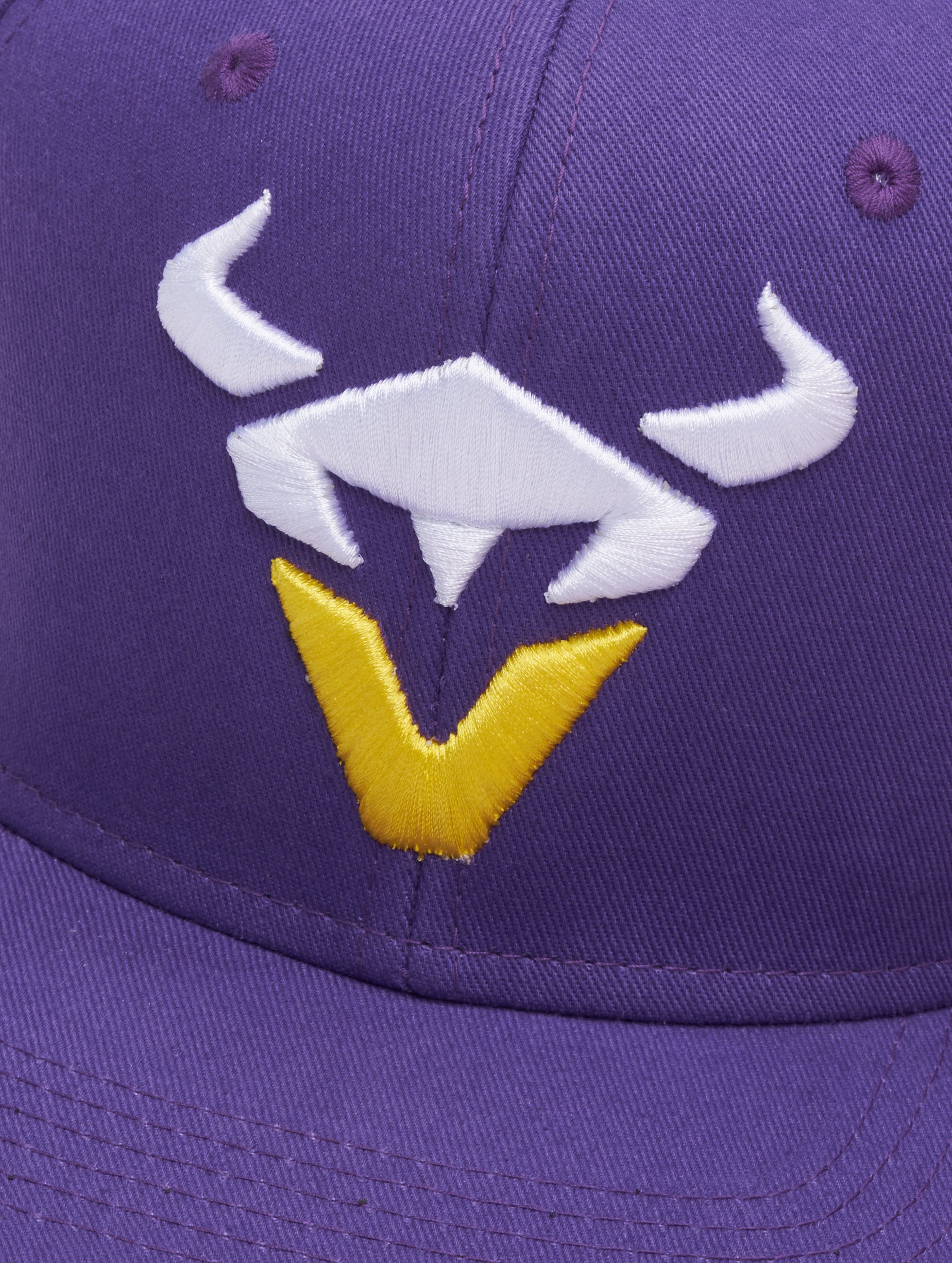 Vienna Vikings Classic Snapback Cap