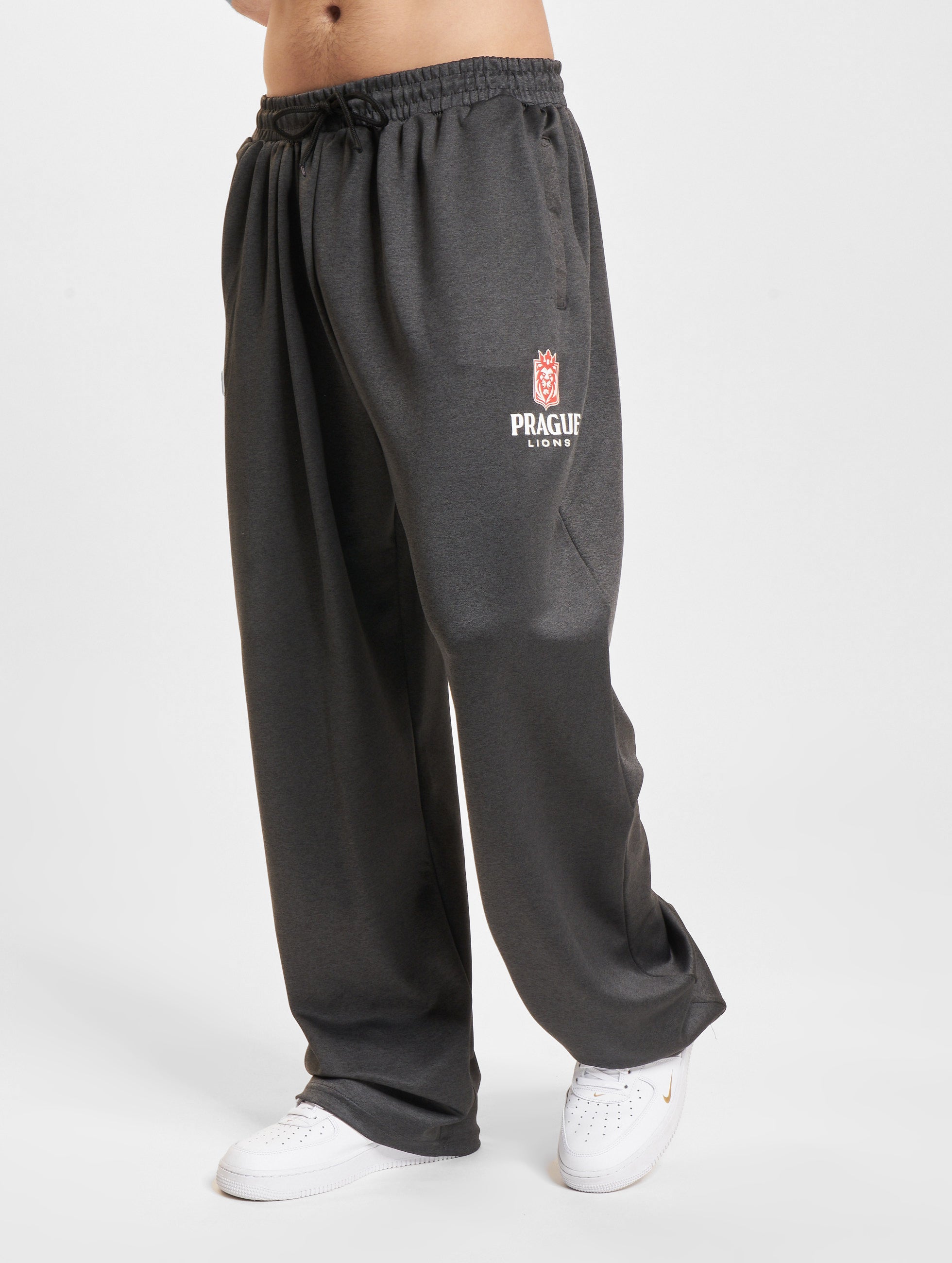 Prague Lions Trainer Pants