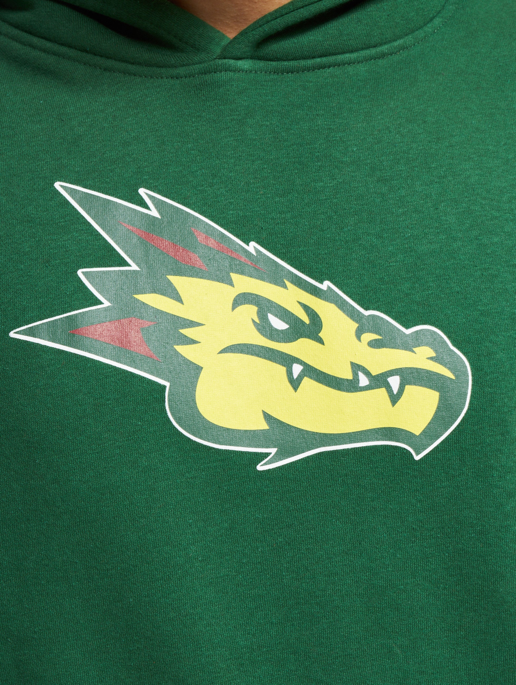 Barcelona Dragons Icon Hoodie