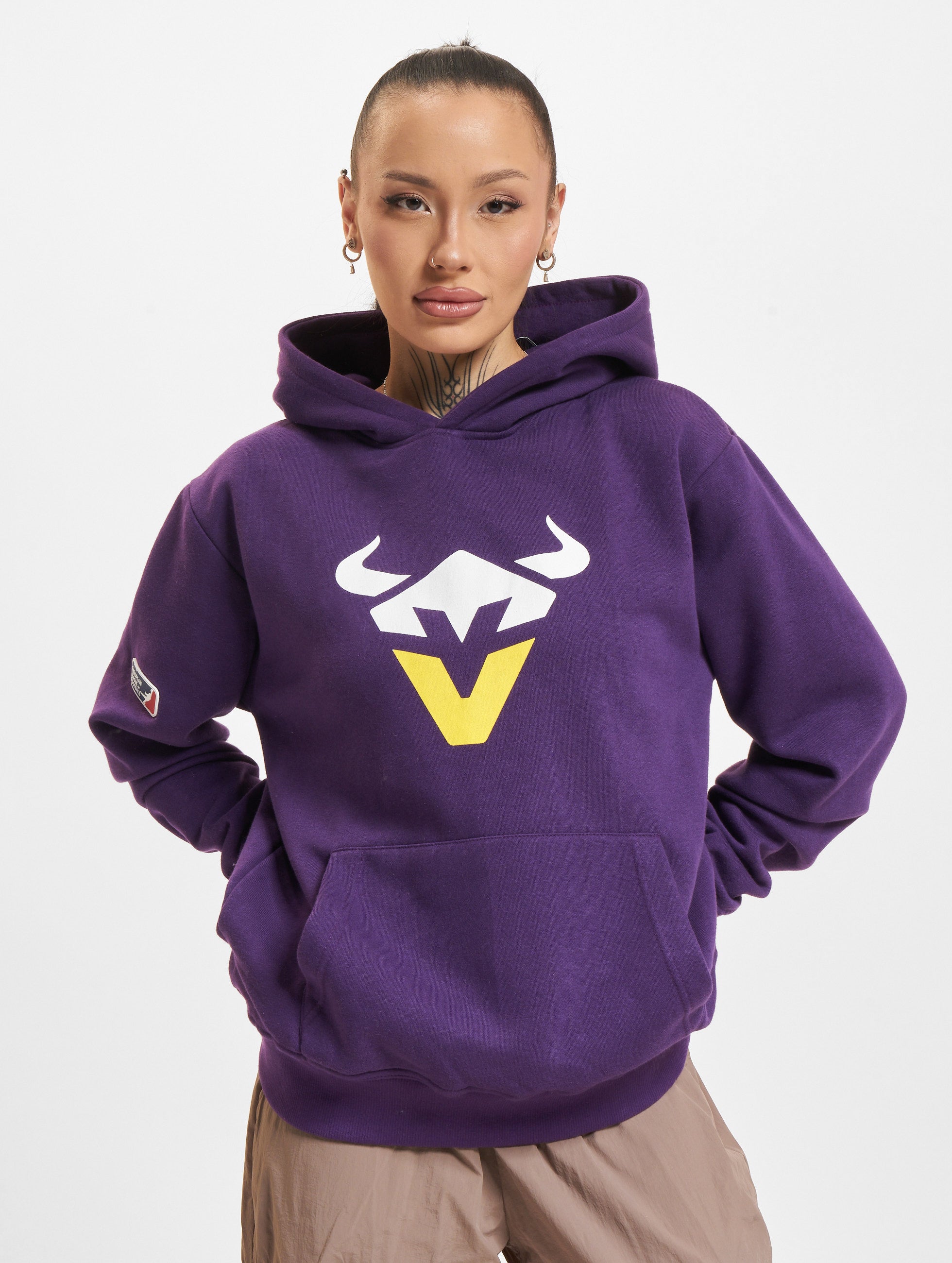 Vienna Vikings Icon Hoodie