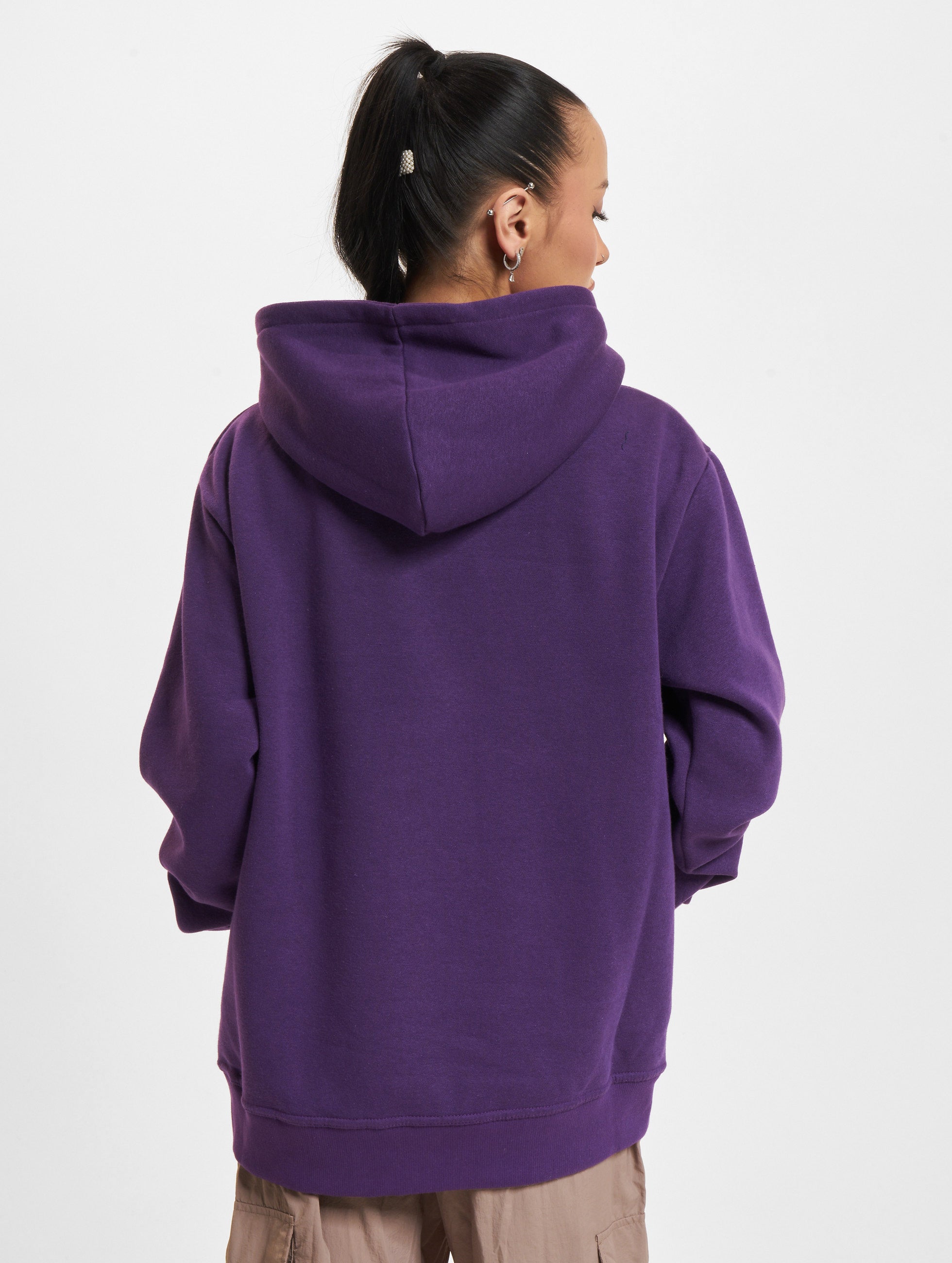 Vienna Vikings Icon Hoodie