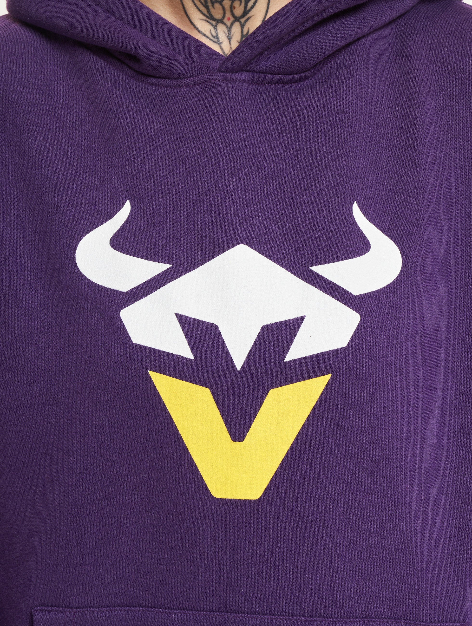 Vienna Vikings Icon Hoodie